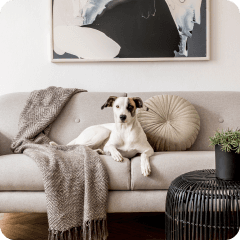 Join home 4